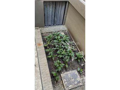 Apartaestudio en arriendo en Torres De Bombona, Medellín, 38 m² · foto 14 de 18