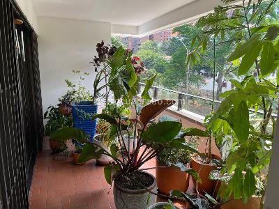 Apartamento de 3 alcobas en venta en Santa Teresita, Cali, 220 m² · foto 4 de 20