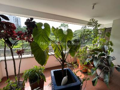 Apartamento de 3 alcobas en venta en Santa Teresita, Cali, 220 m² · foto 6 de 20