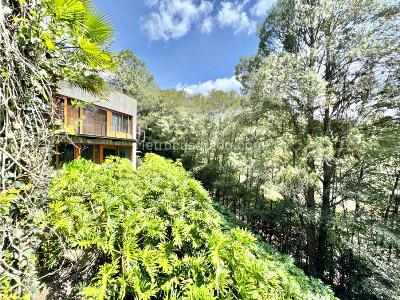 Casa de 3 alcobas en venta en Llanogrande, Rionegro, 430 m² · foto 4 de 20