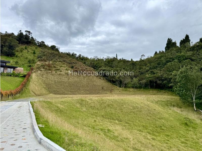 Lote en Venta, Vereda Perico, Envigado - Vista 3