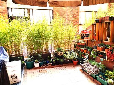 Apartaestudio en venta en Cedritos, Bogotá, 55 m² · foto 7 de 11