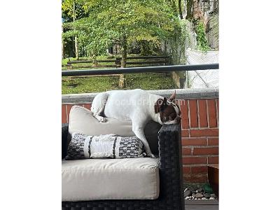 Apartamento de 2 alcobas en venta en San Lucas, Medellín, 218 m² · foto 13 de 13