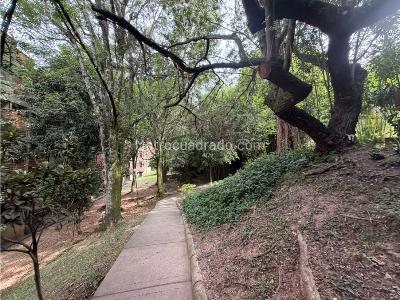 Apartamento en venta en Calasanz, Medellín · foto 19 de 20
