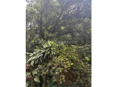 Apartamento de 2 alcobas en venta en El Tesoro, Medellín, 80 m² · foto 6 de 20
