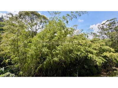 Apartamento de 1 alcoba en venta en San Lucas, Medellín, 40 m² · foto 3 de 12