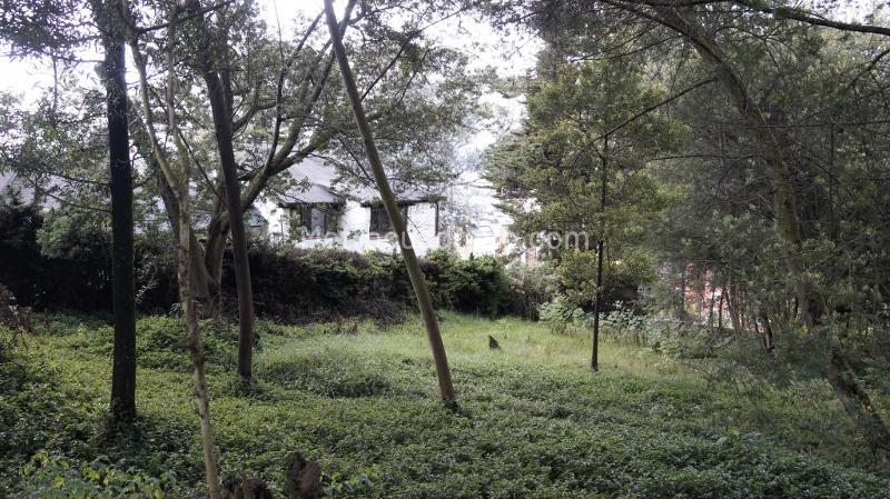 Lote en Venta, Altos De Chozica, Bogotá D.C. - Vista 3
