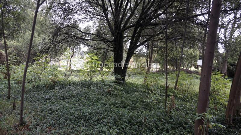 Lote en Venta, Altos De Chozica, Bogotá D.C. - Vista 4