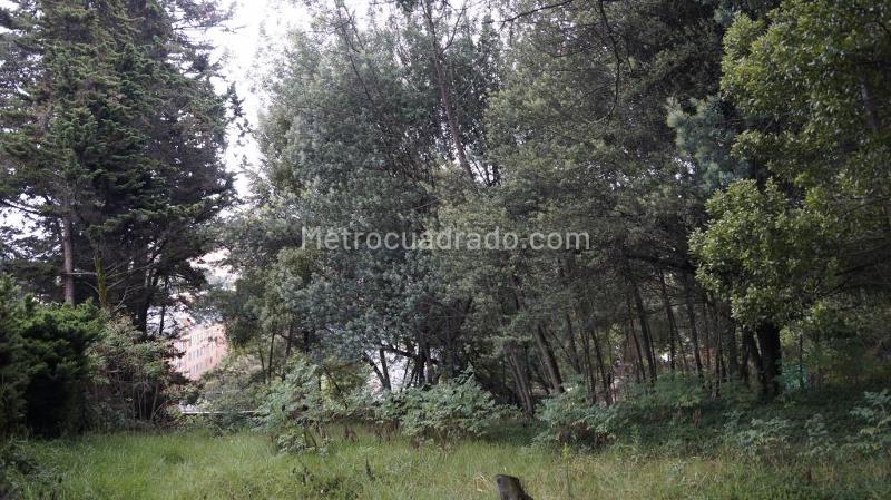 Lote en Venta, Altos De Chozica, Bogotá D.C. - Vista 5