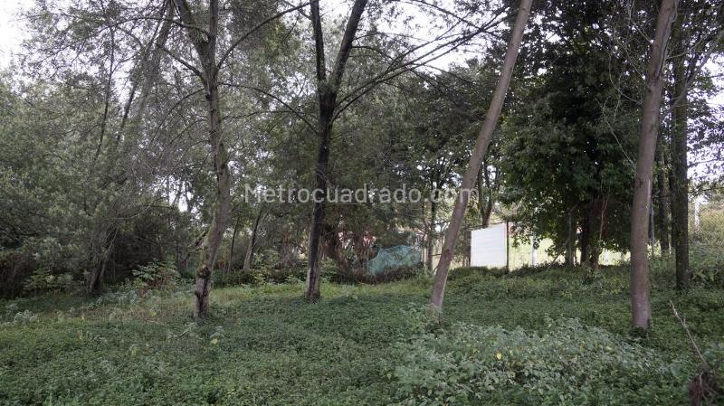 Lote en Venta, Altos De Chozica, Bogotá D.C. - Más