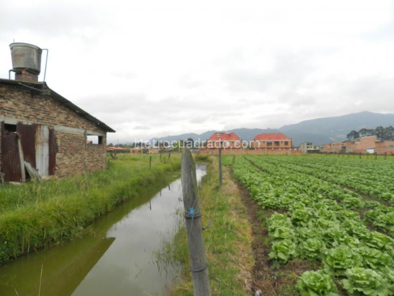 Lote en Venta, Cajica, Cajicá - Vista 4
