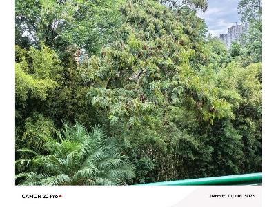 Apartamento en venta en Calasanz, Medellín · foto 2 de 16