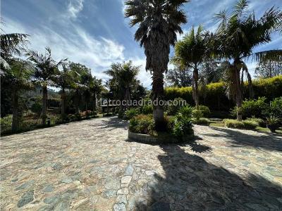 Casa de 4 alcobas en venta en Alto De Las Palmas, Envigado · foto 5 de 20