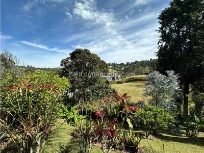 Casa de 4 alcobas en venta en Alto De Las Palmas, Envigado · foto 7 de 20