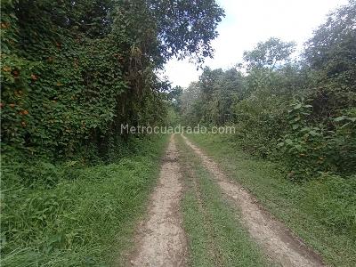 Casa de 3 alcobas en arriendo en Vereda Sajonia, Medellín, 120 m² · foto 17 de 20