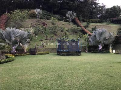 Casa de 4 alcobas en venta en Los Balsos, Medellín, 800 m² · foto 13 de 14