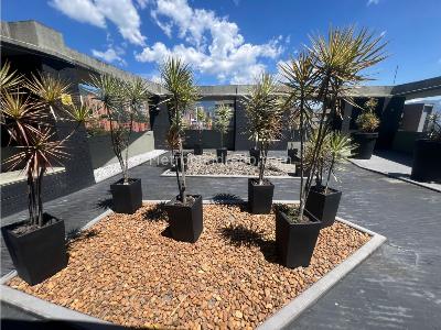 Apartamento de 3 alcobas en venta en La Abadia, Medellín, 180 m² · foto 18 de 19