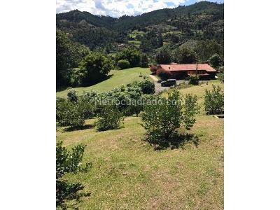 Casa de 3 alcobas en arriendo en Rionegro, Medellín · foto 12 de 20