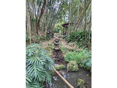 Casa de 4 alcobas en venta en Loma Del Escobero, Medellín, 1700 m² · foto 4 de 19