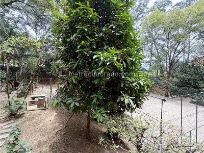 Apartamento de 4 alcobas en arriendo en San Lucas, Medellín, 75 m² · foto 14 de 14