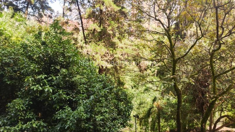 Apartamento Moderno de 4 Alcobas en Los Balsos Exclusivo - 7