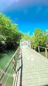 Apartaestudio en venta en Pozos Colorados, Santa Marta, 44 m² · foto 16 de 20
