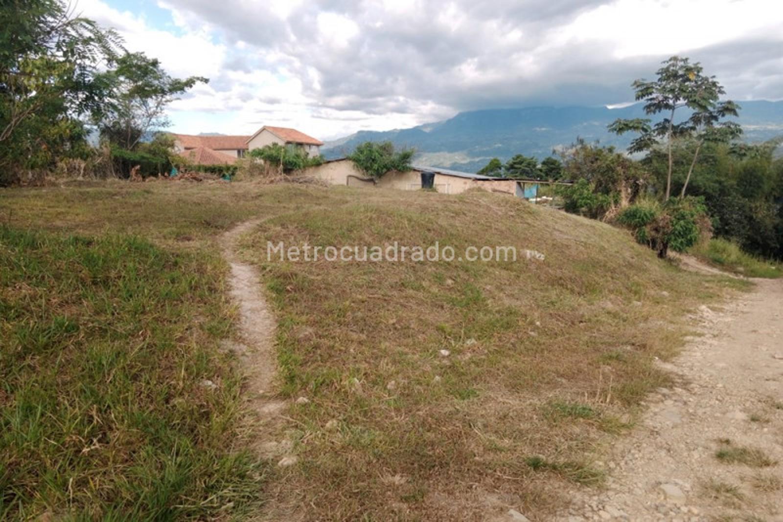 Venta de Lote o Casalote en La mesa La Mesa 175M5269583