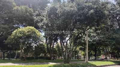 Casa en venta en Bella Suiza, Bogotá · foto 14 de 15