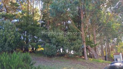 Casa de 3 alcobas en venta en Vereda Llanitos, Bogotá, 119 m² · foto 18 de 20