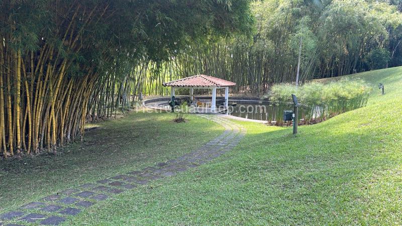 Casa – Pereira - Más