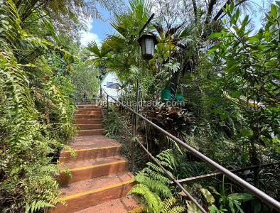 Casa de 5 alcobas en venta en La Buitrera, Cali, 400 m² · foto 14 de 19