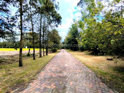 Casa de 4 alcobas en arriendo en La Fagua, Cajicá, 339 m² · foto 18 de 20