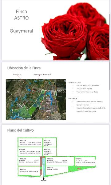 Lote en Arriendo, Sin Barrio, Chía - Vista 3