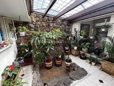 Casa de 4 alcobas en venta en Cedro Golf, Bogotá, 210 m² · foto 6 de 18