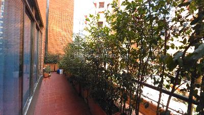 Apartamento en venta en Santa Paula, Bogotá · foto 7 de 20