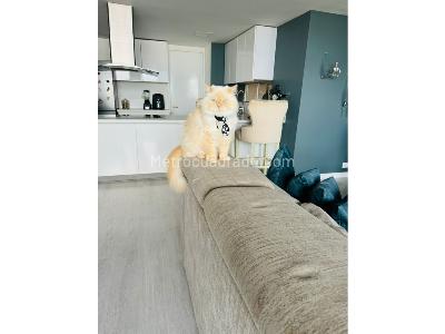 Apartamento en venta en El Poblado, Medellín · foto 12 de 17