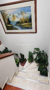 Casa de 3 alcobas en venta en Carvajal, Bogotá, 120 m² · foto 8 de 15