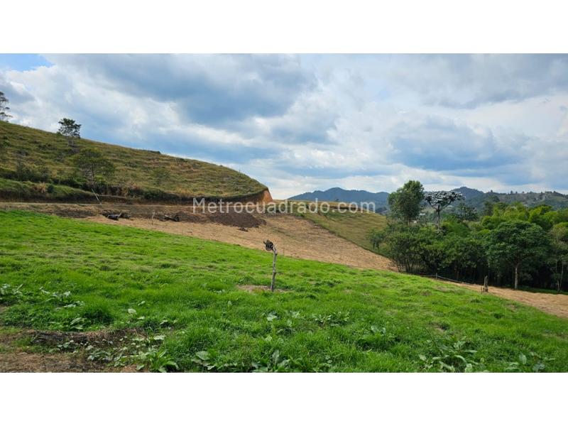 Lote en Venta, Retiro, Rionegro - Vista 5