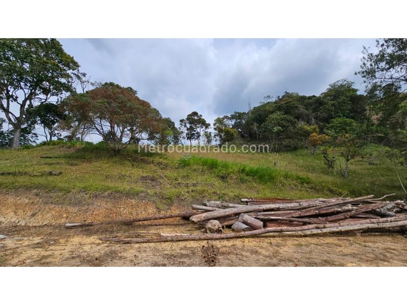 Lote en Venta, Retiro, Rionegro - Más
