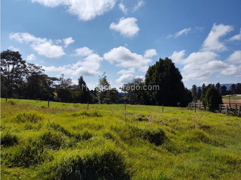 Lote en Venta, Alto De Las Palmas, Envigado - Vista 2