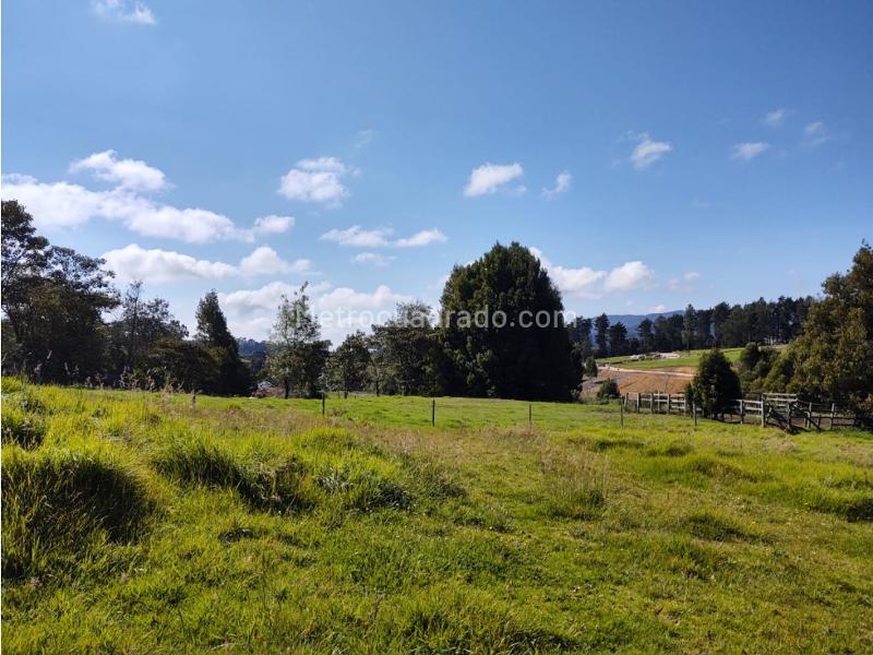 Lote en Venta, Alto De Las Palmas, Envigado - Vista 4