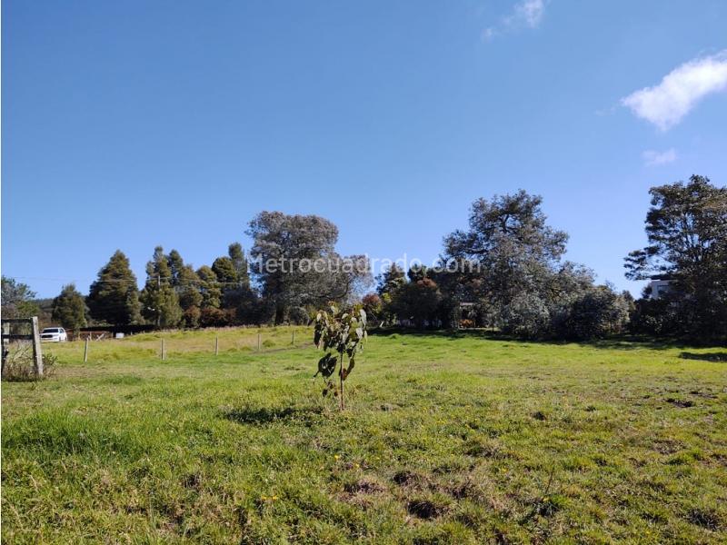 Lote en Venta, Alto De Las Palmas, Envigado - Más