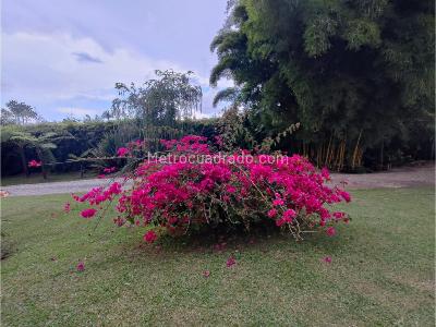 Casa de 5 alcobas en venta en El Capiro, Rionegro, 600 m² · foto 11 de 20