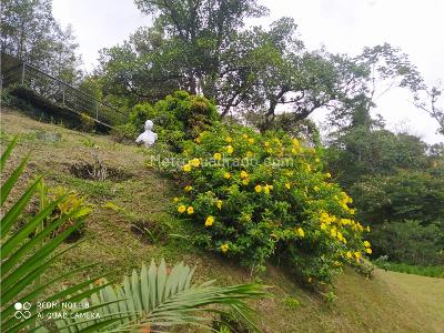 Casa de 4 alcobas en venta en San Lucas, Medellín, 629 m² · foto 7 de 19