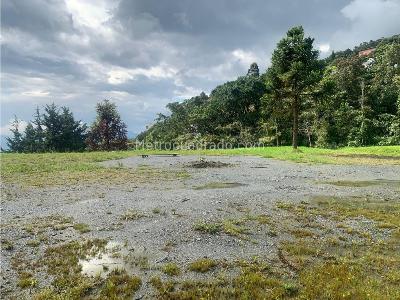 Casa de 5 alcobas en venta en Las Palmas, Medellín, 780 m² · foto 5 de 12