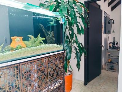 Apartamento de 3 alcobas en venta en Urbanizacion La Merced, Cali, 91 m² · foto 16 de 19