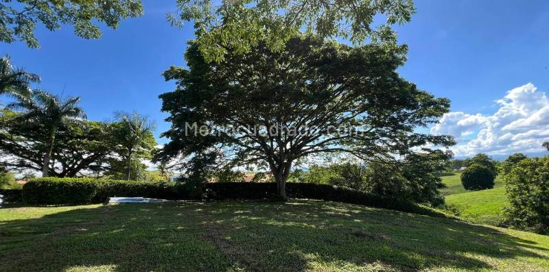 Lote en Venta, Cerritos, Pereira - Vista 3