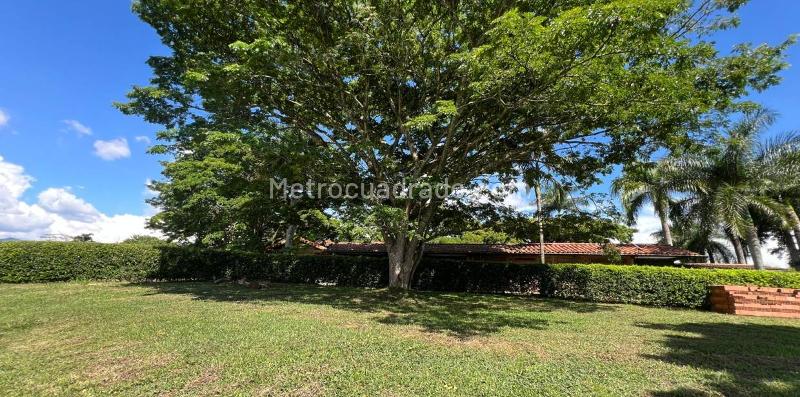 Lote en Venta, Cerritos, Pereira - Vista 4