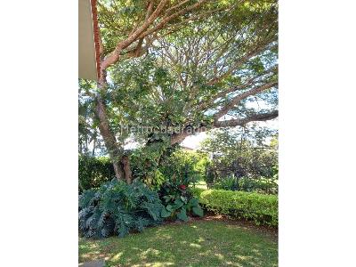 Casa de 4 alcobas en venta en Pance, Cali, 450 m² · foto 10 de 20