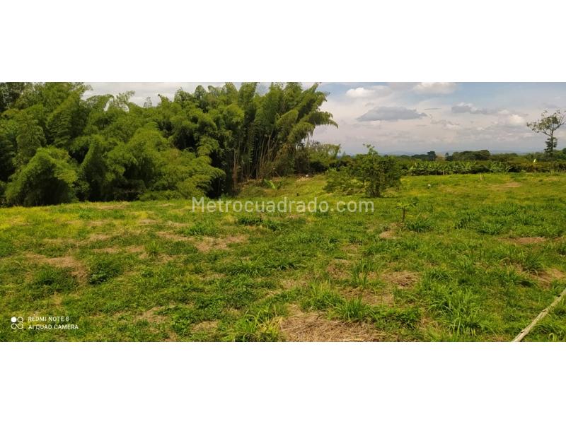 Lote en Venta, Caimo, Armenia - Vista 3